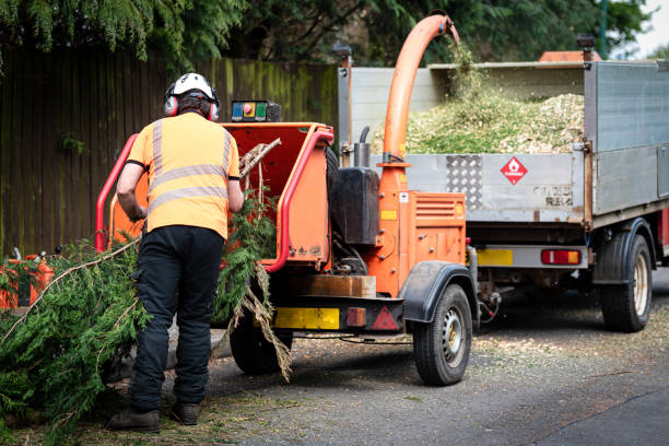 Best Commercial Tree Services  in , ID